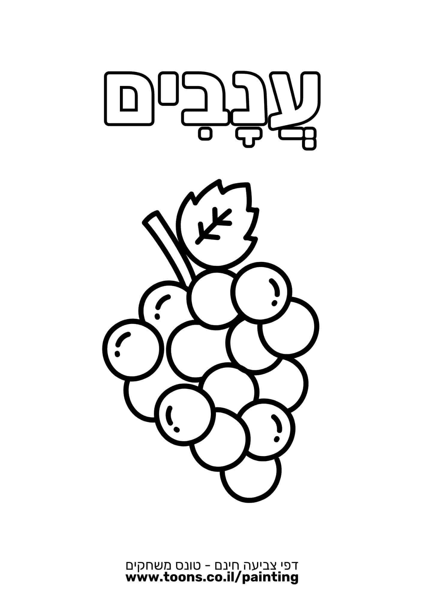 דף צביעה ענבים